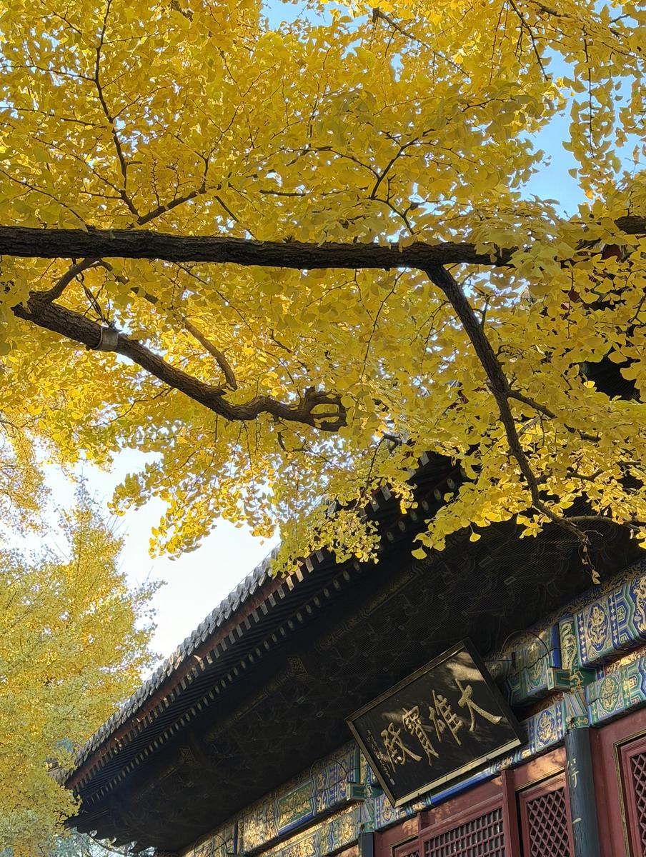 Hongluo Temple