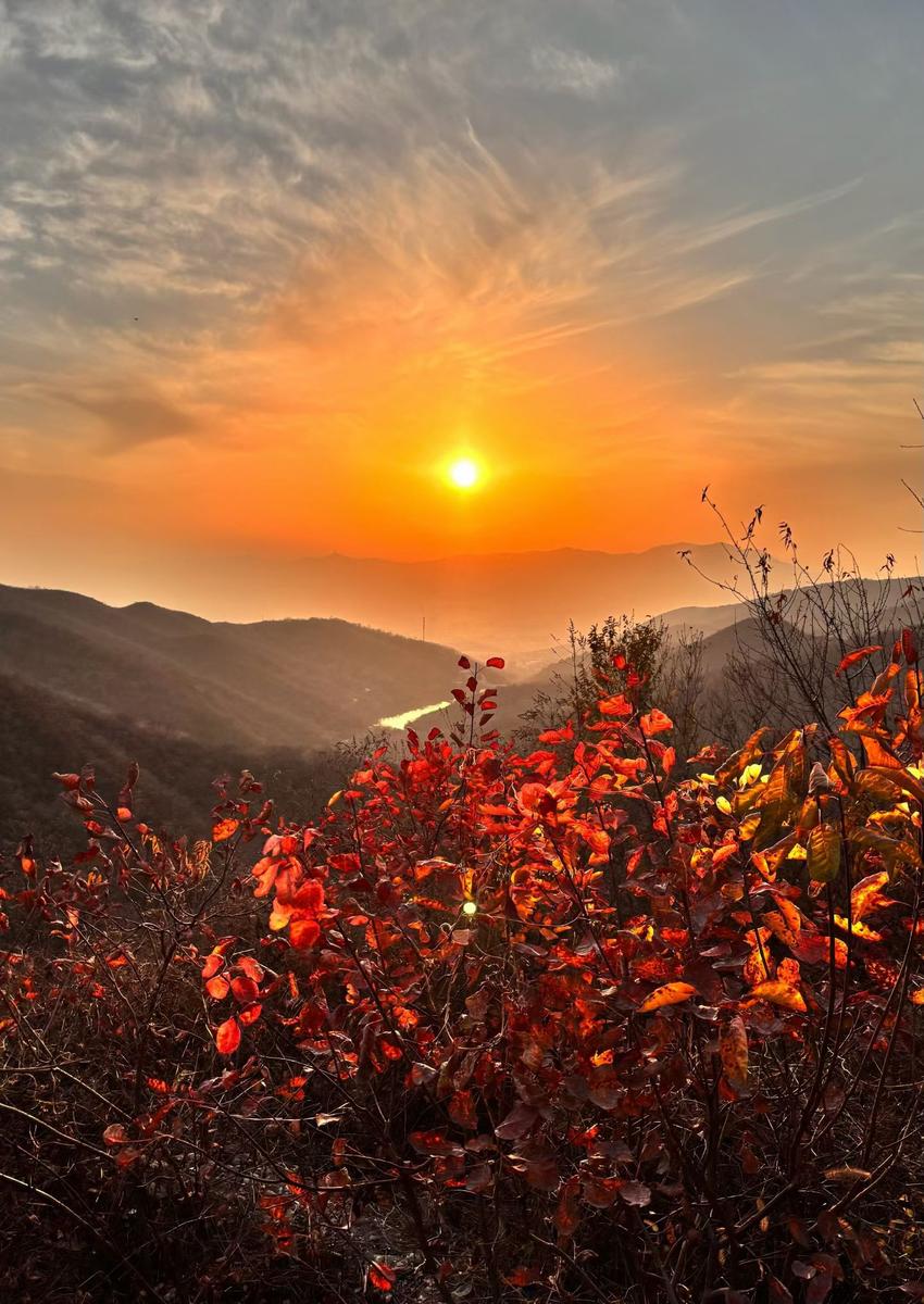Fragrant Hills